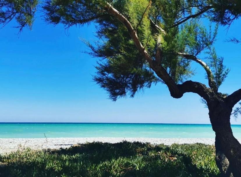 Magnifico Piso Con Vistas Al Mar En Moncofa Διαμέρισμα Moncófar Εξωτερικό φωτογραφία
